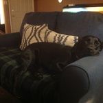 Teddy Perry - @teddyperry4778 - Instagram