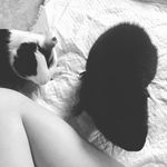 Teddy/ Perry - @diehmemmi - Instagram