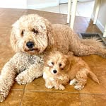 Peyton & Teddy - @peytonandteddy - Instagram