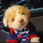 Teddy Pierre Archuleta - @teddybearpierre12219 - Instagram