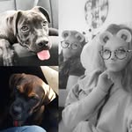 Piper & Teddy - @piper_17_teddy_19 - Instagram