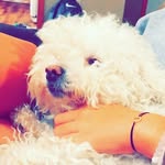 Piper_Teddy - @piper_teddybear - Instagram