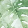 piperteddy - @piperteddy - TikTok