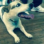 Teddy Romos Poole - @teddy_r_poole - Instagram