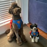 Teddy Bash Poppy Link Posey Leo - @sixdoodles - Instagram