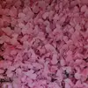 teddy.pratt - @teddy.pratt - TikTok