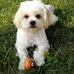 Teddy Proctor - Facebook