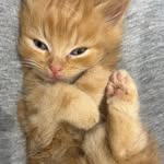 Teddy Proctor - @teddyedward2023 - Instagram