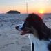 Teddy Pugh - Facebook