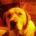 Teddy Pugh - Facebook