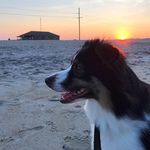 Teddy Pugh - @teddy.pugh - Instagram