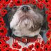 Teddy pugh mullen - Facebook