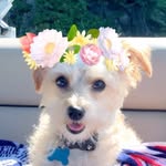 Teddy Grahams Purcell - @teddygrahamspurcell - Instagram