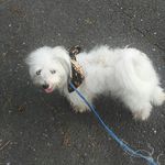 Teddy Quick - @teddybearquick - Instagram
