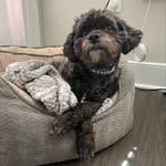 Teddy Ramey - @puffdotdaddy - Instagram