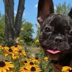 Teddy Ramey - @teddy.ramey - Instagram