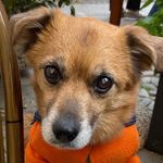 TEDDY - @teddy.ramos - Instagram