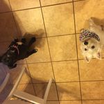 Teddy n Faith Randall - @teddynfaithadventures - Instagram