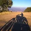 teddyrandall59 - @hank.pete - TikTok