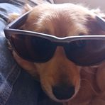Teddy Raymond - Facebook