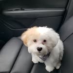 Teddy Bear Reeves - @teddybearreeves - Instagram