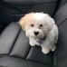 Teddy Reeves - Facebook