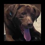 Teddy Rice - Facebook