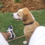 Teddy Rios - @uncleteddyno.1 - Instagram