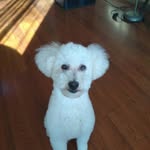 Teddy - @teddy_rios123 - Instagram