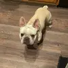 Teddy - @teddyrios22 - TikTok