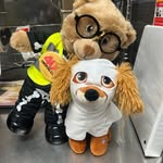 Teddy Rivas Rios - @thesecretlifeofteddy_2022 - Instagram
