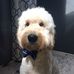 Teddy Rupert Rivera - Facebook