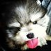 Teddy Rivers - Facebook