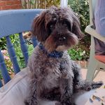 Teddy Roberts - @tales_from_teddy - Instagram