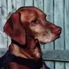 Teddy Roberts - @teddyroberts32 - TikTok