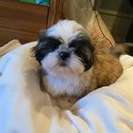 Teddy (Theodore) Roberts - @adventures_of_teddyroberts - Instagram
