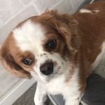 Tedster - @tedd.yroberts - Instagram