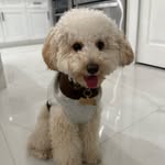 Teddy - @teddyrobles_ - Instagram