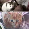 Owner poppy_grace.s - @teddy_and_roman - TikTok