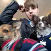 Teddy & Roman - @teddy_roman_puppys - TikTok