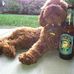 Teddy Rosevelt - Facebook
