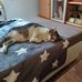Rossi Teddy - Facebook