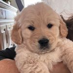 Theodore “Teddy” Rossi - @theodore.r.rossi - Instagram
