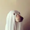 teddyrowe25 - @teddyrowe25 - TikTok