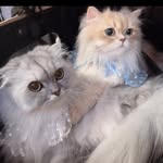 로이_리오넬 - @teddy_roy_lionel - Instagram