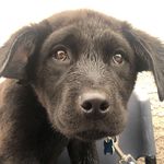 Teddy Rubio - @teddyr_19 - Instagram