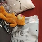 Teddy The Bear - @teddysalas13 - Instagram