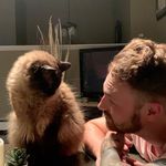 teddysampson - @teddysampson - Instagram