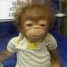 Teddy Sanchez - Facebook