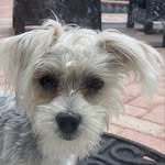 Itsmeteddy44 - @teddysandoval44 - Instagram